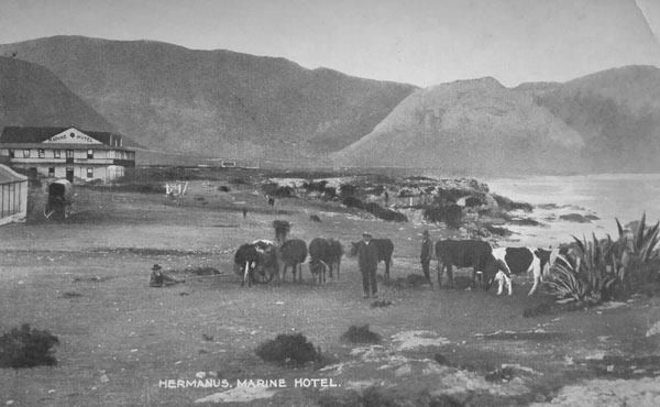 Greater Hermanus