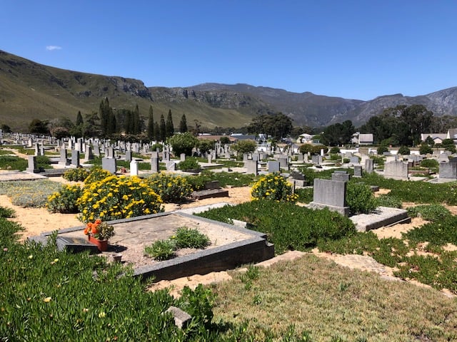 YOU CAN HELP: BEHIND THE KOPPIE