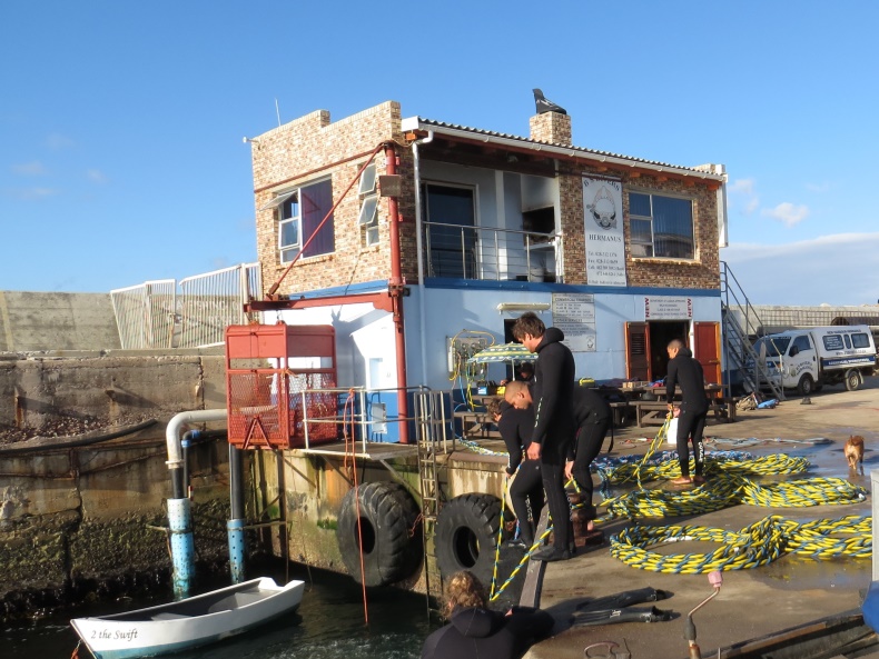 Diving for abalone and diamonds and diver training - an oral history culminating in the Hermanus New harbour.