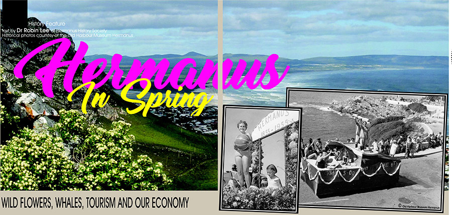 Hermanus in Spring: Wild Flowers, Whales Tourism and Our Economy