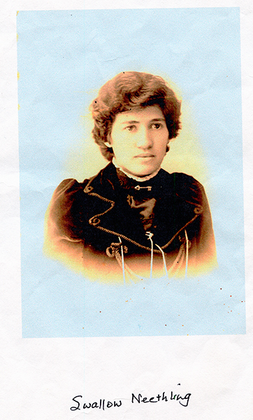 Swallow Neethling