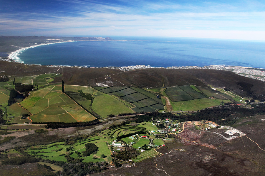 The History of Hamilton-Russel Vineyards
