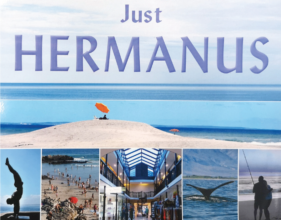 Local authors in the spotlight